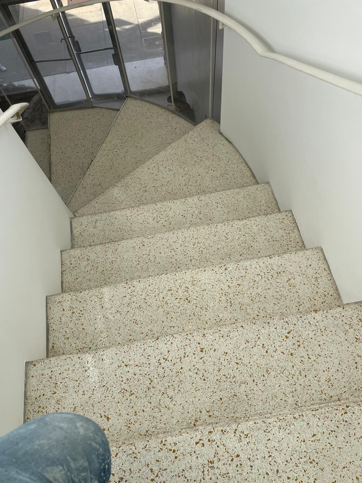 Terrazzo stairs restored to a smooth honed matte finish