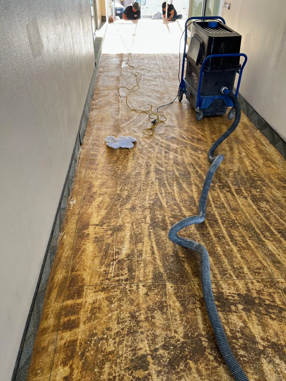 Aggressive Hard Floor Grinding